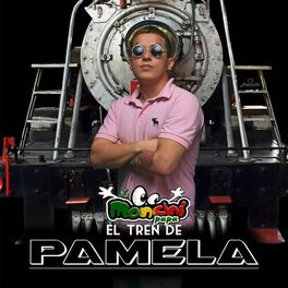 Album cover of El Tren de Pamela