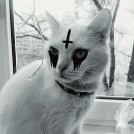 inverted cross tumblr cat