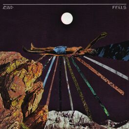 Album cover of Feels