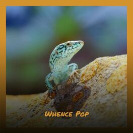 Album cover of Whence Pop