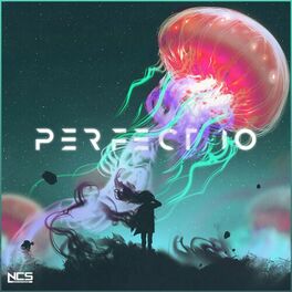 Album cover of Perfect 10 (Unknown Brain & RudeLies VIP)
