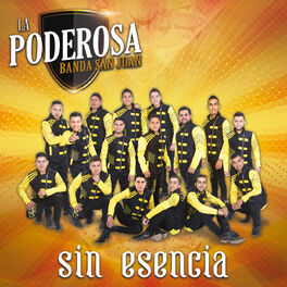 Album cover of Sin Esencia