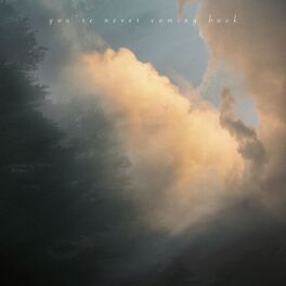 Album cover of you're never coming back