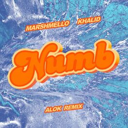 Album cover of Numb (Alok Remix)
