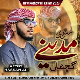 Hassan Ali - Wo Bus Mustafa Hai - Single: lyrics and songs