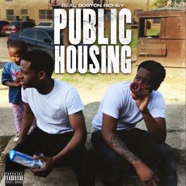 Album cover of Public Housing