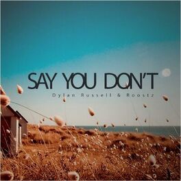 Album cover of Say You Don't