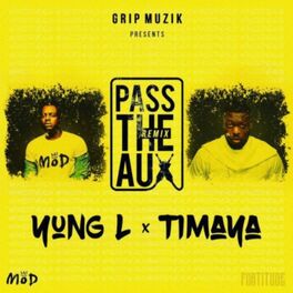 Album cover of Pass the Aux (Remix)