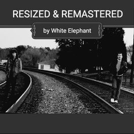 Album cover of Resized and Remastered