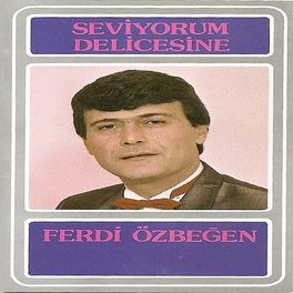 Album cover of Seviyorum Delicesine