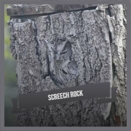 Album cover of Screech Rock