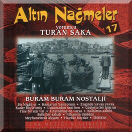 Album cover of Altın Nağmeler, Vol. 17