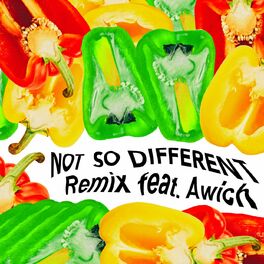 Album cover of Not So Different (Remix)
