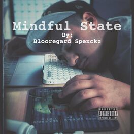 Album cover of Mindful State