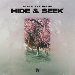 Album cover of Hide & Seek