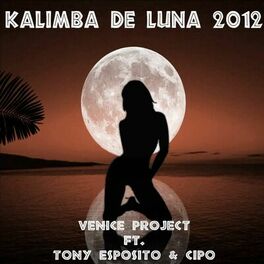 Album cover of Kalimba de Luna 2012