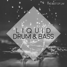 Album cover of Best of LW Liquid Drum & Bass IV