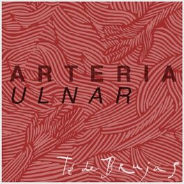 Album cover of Arteria Ulnar