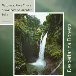 Album cover of Despertar na Floresta - Córrego da Montanha, Natureza, Rio e Chuva Suave para Se Acordar Feliz