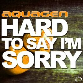 Album cover of Hard to Say I'm Sorry (The Hands Up, Happy Hardcore & Hardstyle Remixes)
