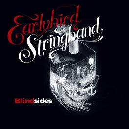 Album cover of Blindsides