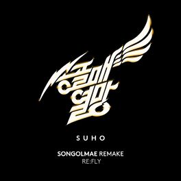 Album cover of SONGOLMAE REMAKE RE:FLY