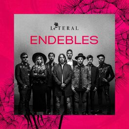 Album cover of Endebles