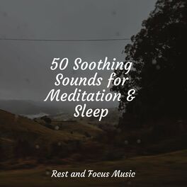 Album cover of 50 Soothing Sounds for Meditation & Sleep