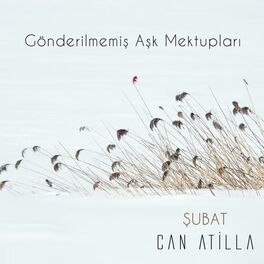 Album cover of Gönderilmemiş Aşk Mektupları / Şubat (Akustik Versiyon)