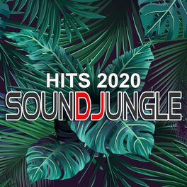 Album cover of Soundjungle Hits 2020