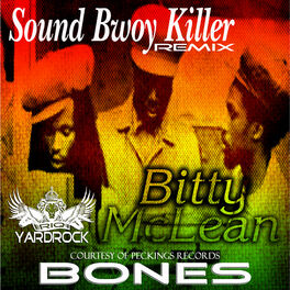 Album cover of Sound Bwoy Killer Remix