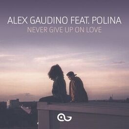 Album cover of Never Give Up on Love