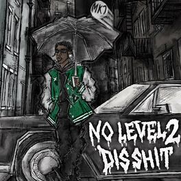 Album cover of NO LEVEL 2 DIS SHIT
