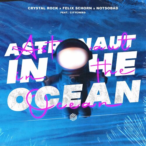 Astronaut in the ocean