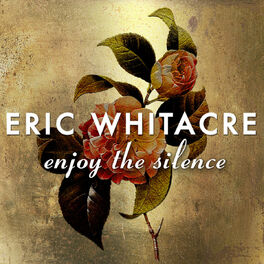 Album cover of Enjoy The Silence