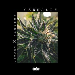 Album cover of Cannabis (feat. DayDay)