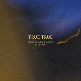 Album cover of True True