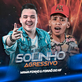 Album cover of Solinho Agressivo