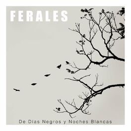 Album cover of De Días Negros y Noches Blancas (Versión Sencillo)