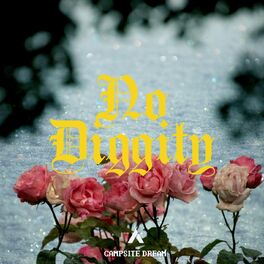 Album cover of No Diggity