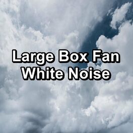 Album cover of Large Box Fan White Noise