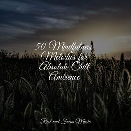Album cover of 50 Mindfulness Melodies for Absolute Chill Ambience