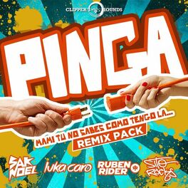 Album cover of Pinga (The Remix Pack)