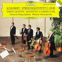 Album cover of Schubert: String Quintet In C Major D.956, Op. Posth. 163