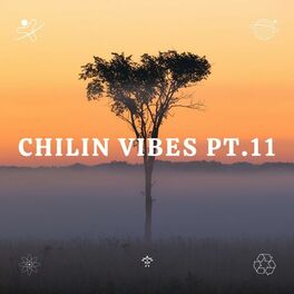 Album cover of Chilin Vibes pt.11