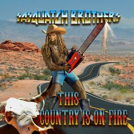 Album cover of This Countries on fire