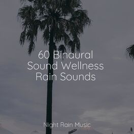 Album cover of 60 Binaural Sound Wellness Rain Sounds