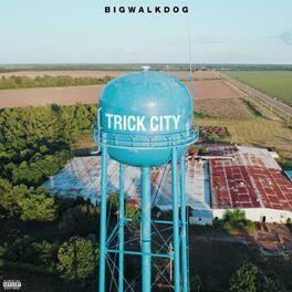Album cover of Trick City
