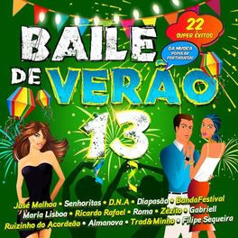 Album cover of Baile de Verão 13