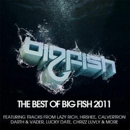 Album cover of Best of Big Fish 2011